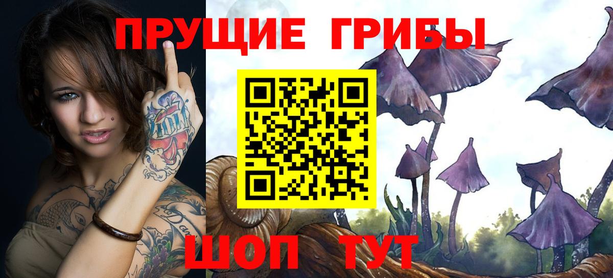 Псилоцибиновые грибы GOLDEN TEACHER Славгород